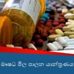 ශ්‍රී ලංකාවේ දිනකට පියයුරු පිළිකා රෝගීන් 15ක් – දිනකට මරණ 3ක්