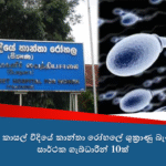 𝐃𝐮𝐫𝐝𝐚𝐧𝐬 𝐇𝐨𝐬𝐩𝐢𝐭𝐚𝐥 𝐄𝐧𝐡𝐚𝐧𝐜𝐞𝐬 𝐏𝐚𝐭𝐢𝐞𝐧𝐭 𝐄𝐱𝐩𝐞𝐫𝐢𝐞𝐧𝐜𝐞 𝐰𝐢𝐭𝐡 𝐔𝐩𝐠𝐫𝐚𝐝𝐞𝐝 𝐆𝐞𝐧𝐞𝐫𝐚𝐥 𝐂𝐨𝐧𝐬𝐮𝐥𝐭𝐚𝐭𝐢𝐨𝐧 𝐂𝐥𝐢𝐧𝐢𝐜 𝐚𝐧𝐝 𝐋𝐨𝐛𝐛𝐲