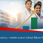 වායු ගුණාත්මකත්වය පහත වැටීමකදී සිදුවිය හැකි සෞඛ්‍ය බලපෑම් සහ පූර්වාරක්ෂාවන්