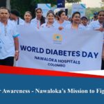 දන්ත එනමලය පුනර්ජනනය කරන ජෙල් – දන්ත ප්‍රතිකාරයට නව යුගයක්